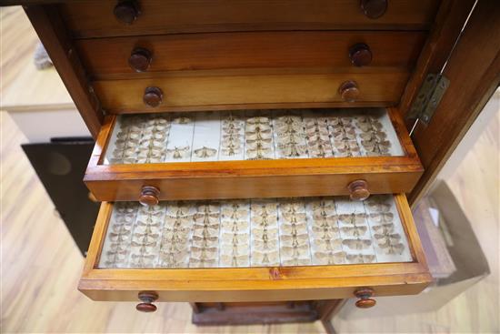 A Victorian mahogany and deal collector cabinet of moth specimens, by J.T Crockett & Son, W.52cm D.47cm H.135cm